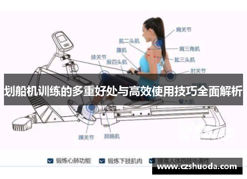 划船机训练的多重好处与高效使用技巧全面解析