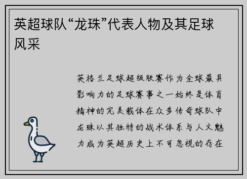 英超球队“龙珠”代表人物及其足球风采